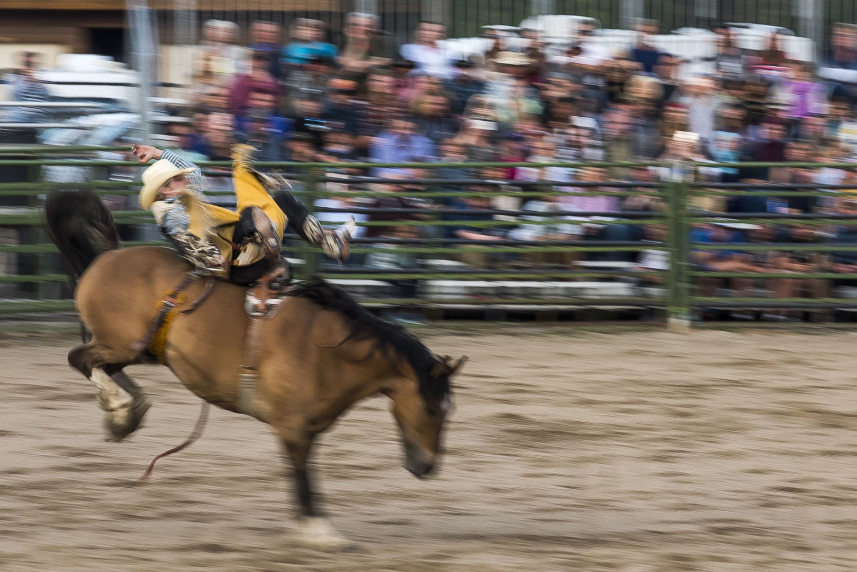 Jackson Hole Rodeo